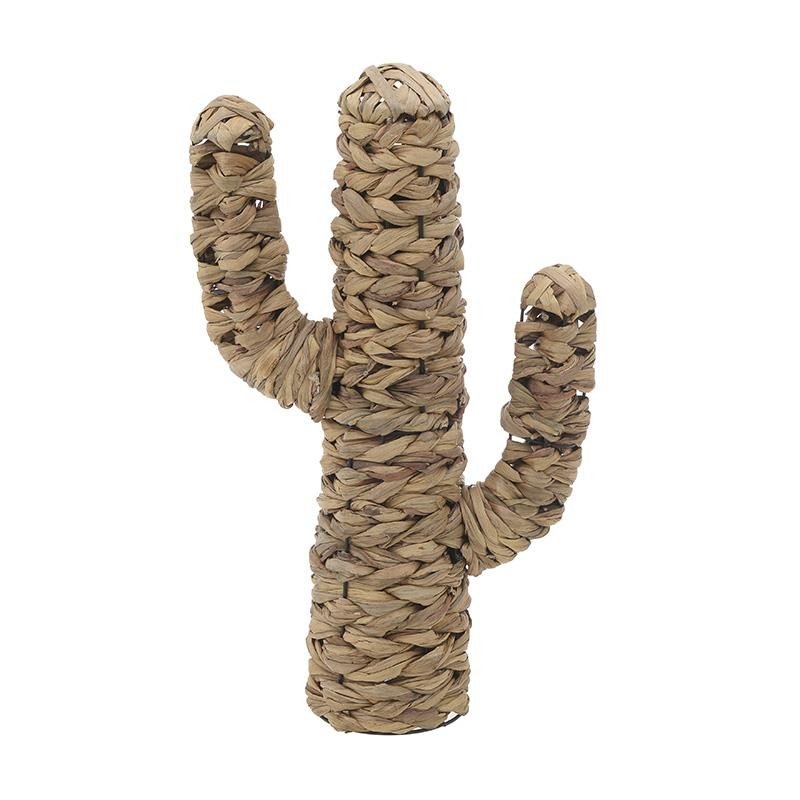 Cactus-3-70-823-0235-Siart Cactus-3-70-823-0235-Siart