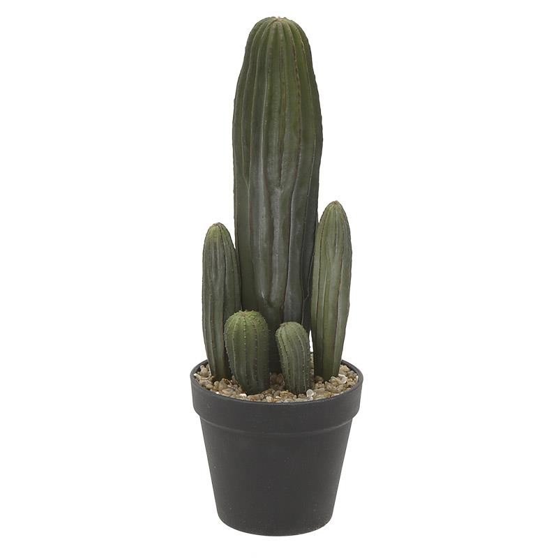 Planta intr-Un Ghiveci-3-85-760-0026-Siart Planta intr-Un Ghiveci-3-85-760-0026-Siart