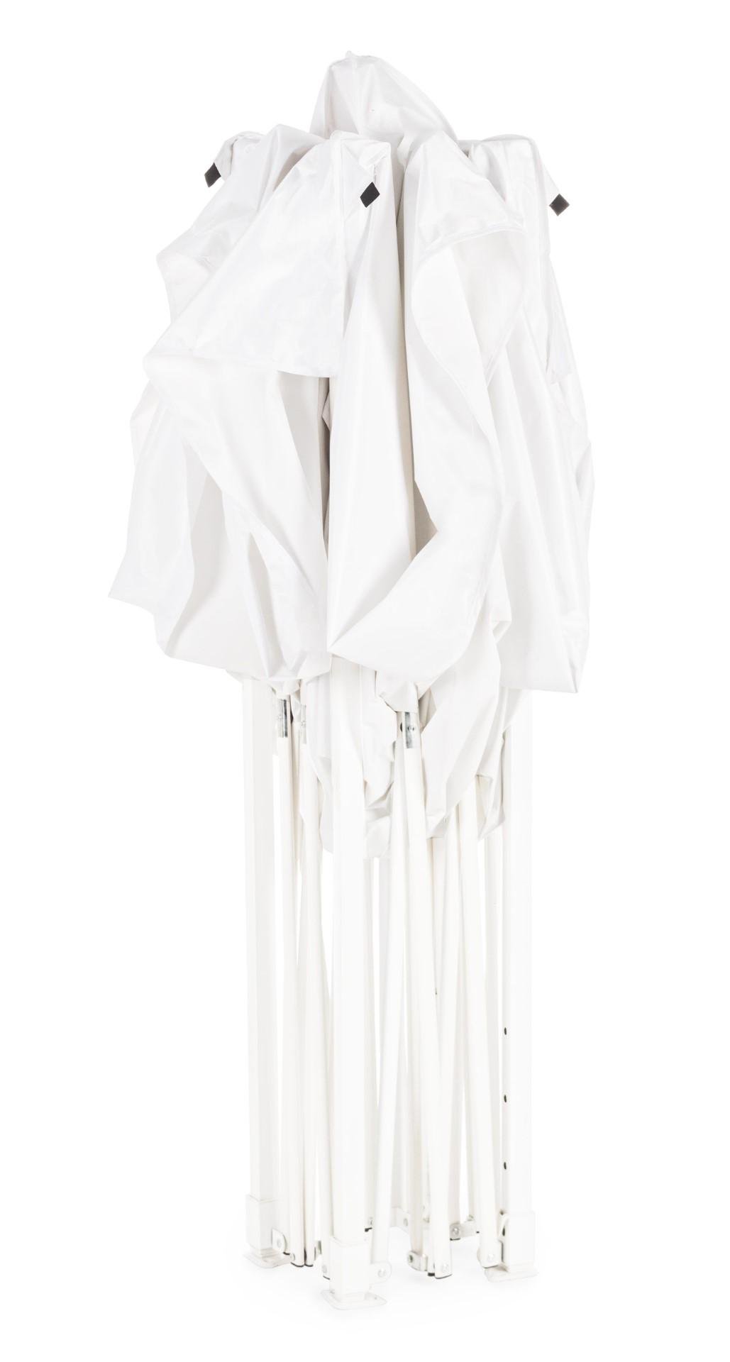 Foisor Alb Pandora-5793223-Siart