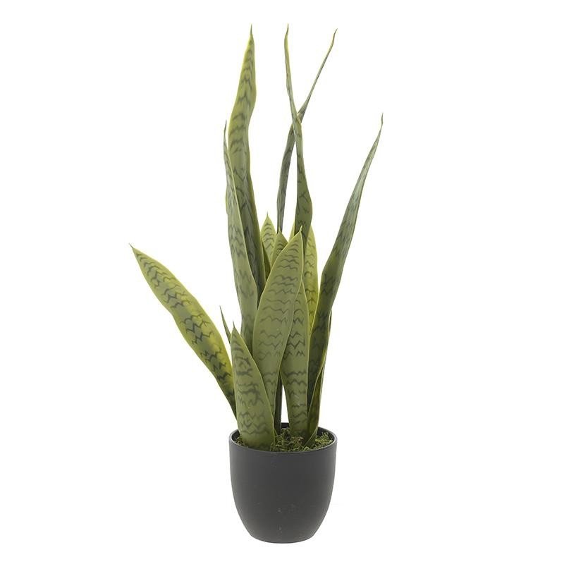 Ghiveci cu flori Westley-3-85-746-0023-Siart Ghiveci cu flori Westley-3-85-746-0023-Siart