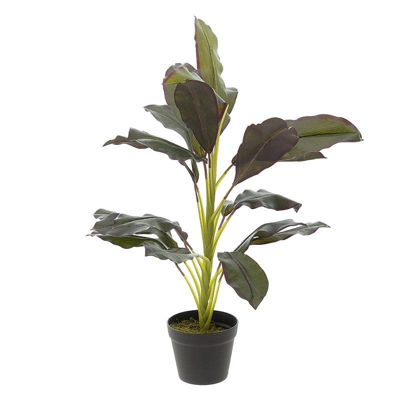 Ghiveci cu flori Bryana-3-85-746-0025-Siart Ghiveci cu flori Bryana-3-85-746-0025-Siart